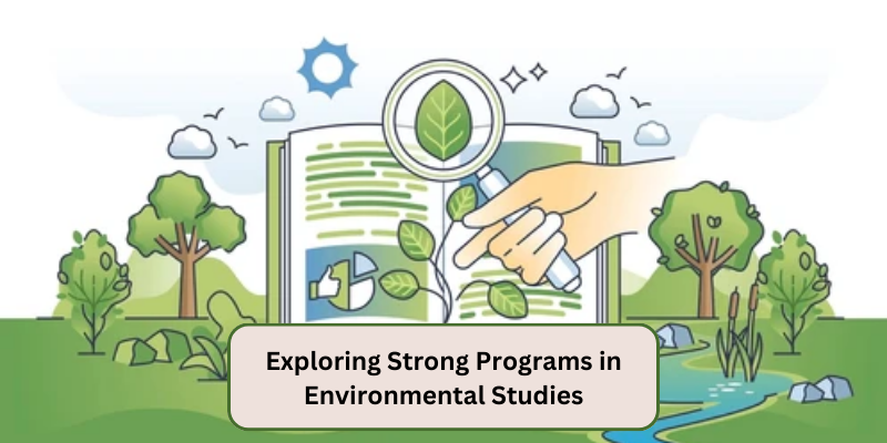 EXPLORING STRONG PROGRAMS IN ENVIRONMENTAL STUDIES