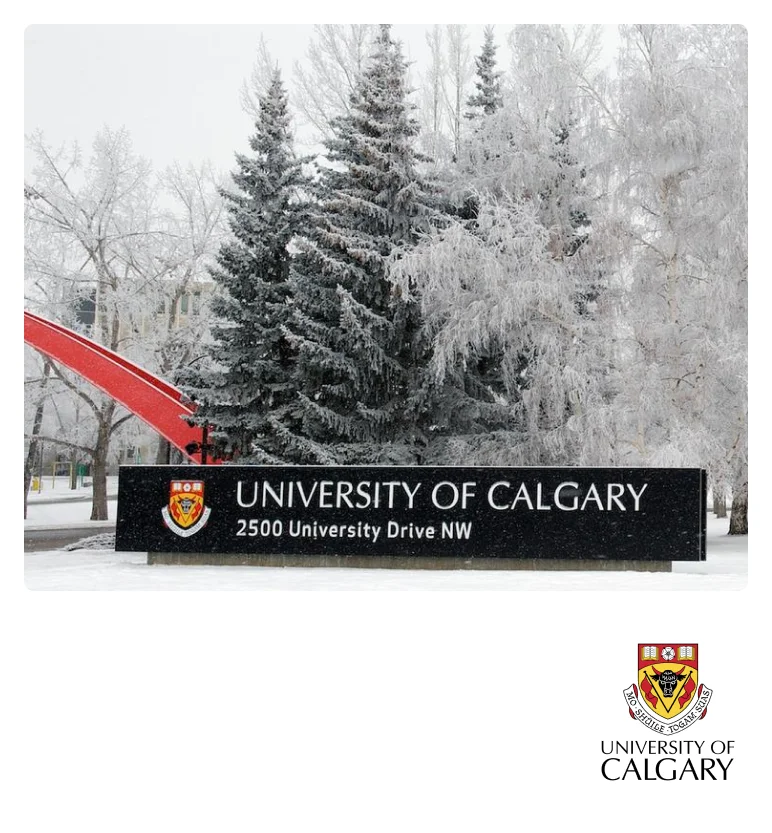 university-10