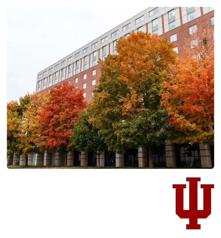 university-12
