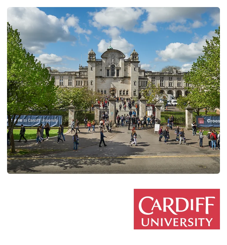 university-20
